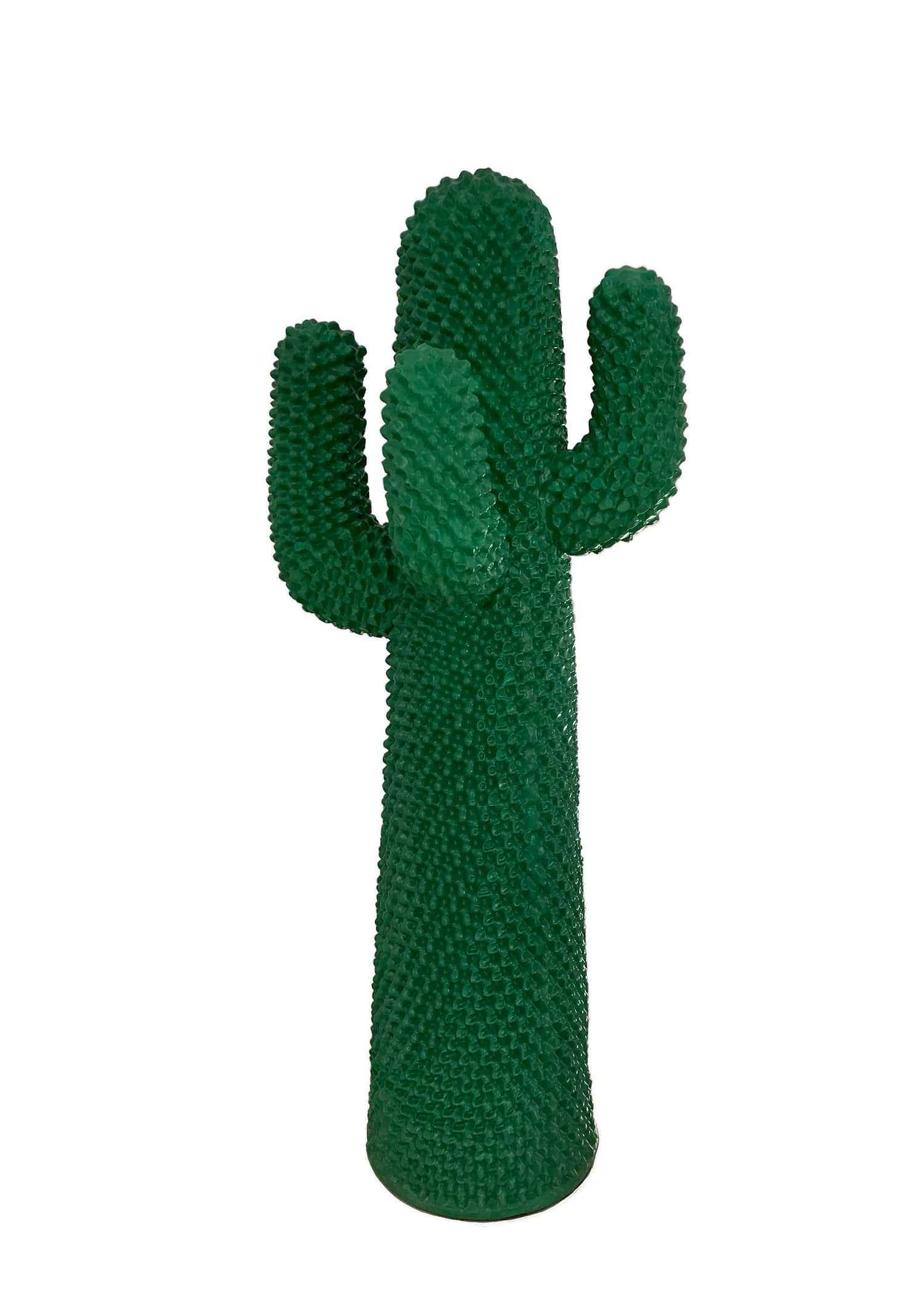 CACTUS GUFRAM VERDE